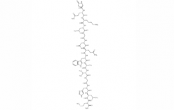 深圳(Lys3)-Bombesin